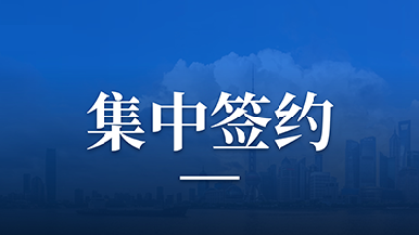 SUNBET申博联行助力奉城镇S3科创走廊推介会圆满落幕