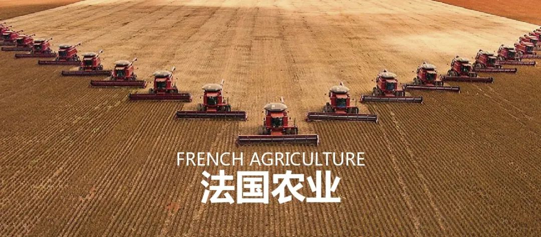 法国农业：欧盟农业大国，靠这6大战略制胜市场